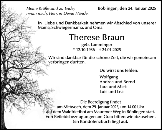 Traueranzeige von Therese Braun von Kreiszeitung Böblinger Bote