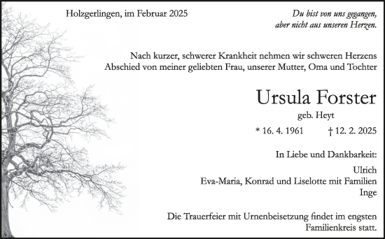 Traueranzeige von Ursula Forster von Kreiszeitung Böblinger Bote