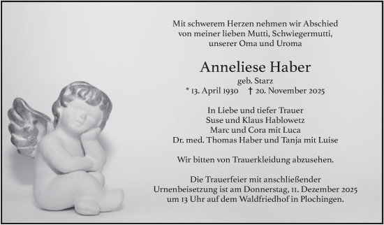 Traueranzeige von Anneliese Haber von Eßlinger Zeitung