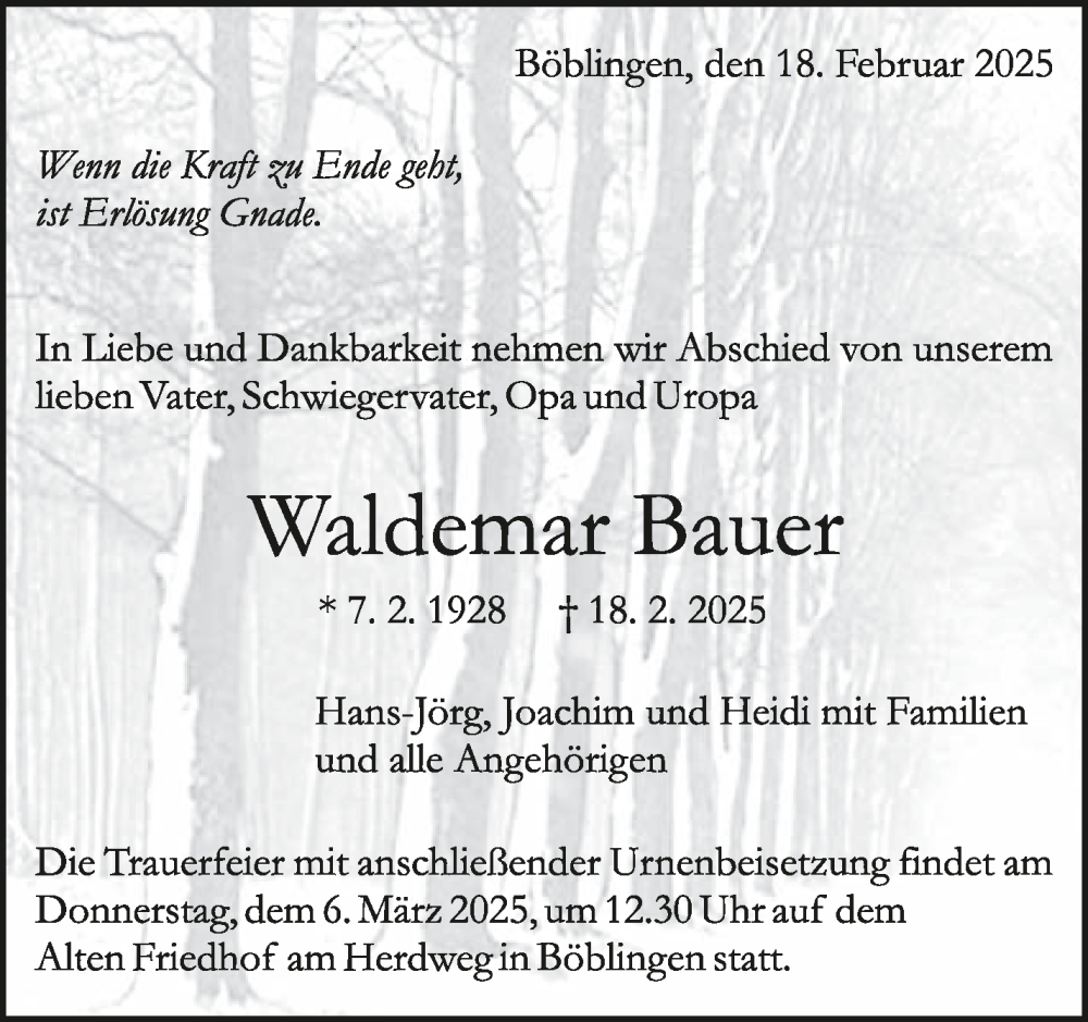  Traueranzeige für Waldemar Bauer vom 27.02.2025 aus Stuttgarter Zeitung / Stuttgarter Nachrichten
