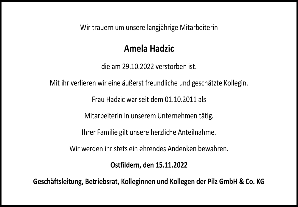  Traueranzeige für Amela Hadzic vom 15.11.2022 aus Eßlinger Zeitung/Cannstatter Zeitung